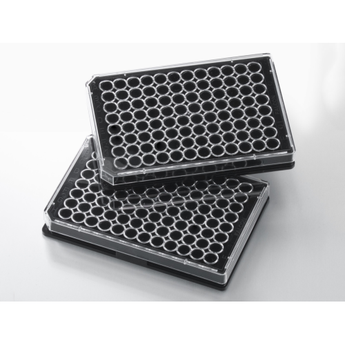 TC Surface 96 Well Black/Clear Bottom Plates - Transparent Bottom Option